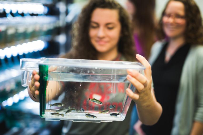 A student conducts summer research on zebrafish with BETVLCTOR伟德登录 Professor Andrea Henle.